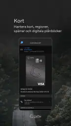 CarPay screenshot