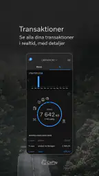 CarPay screenshot