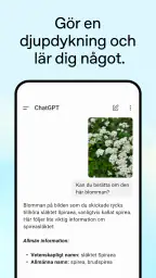 ChatGPT screenshot