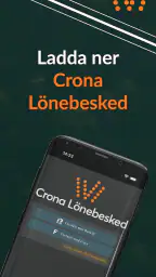 Crona Lönebesked screenshot