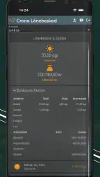 Crona Lönebesked screenshot