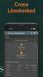 Crona Lönebesked screenshot