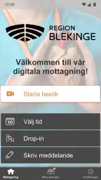 Din vård Region Blekinge screenshot