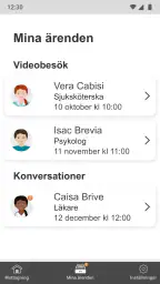 Din vård Region Blekinge screenshot