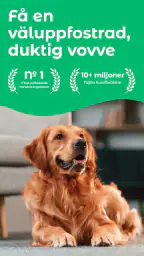 Dogo — Valp och Hundträning screenshot
