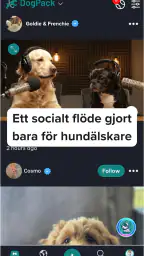 DogPack: Hundparker & Tjänster screenshot
