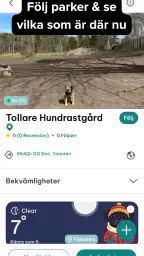 DogPack: Hundparker & Tjänster screenshot