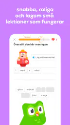 Duolingo:  Lär dig språk screenshot