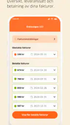 Enkla Elbolaget screenshot