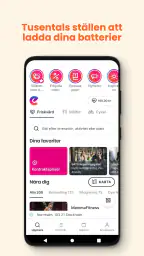 Epassi screenshot