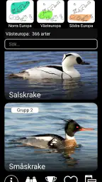 Europeiska fågelröster PRO screenshot