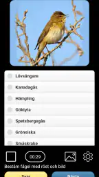 Europeiska fågelröster PRO screenshot