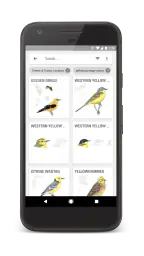 Fågelguiden screenshot