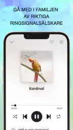 Fågelläten screenshot
