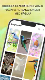 Fågelläten screenshot