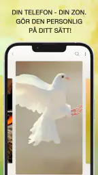 Fågelläten screenshot