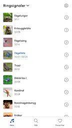 Fågelläten screenshot