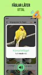 Fågelljud screenshot