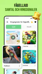 Fågelljud screenshot
