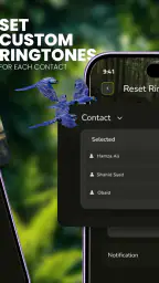 Fågelljud: Ringsignaler screenshot