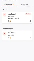 Falck Online screenshot