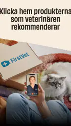 FirstVet - Veterinär i mobilen screenshot