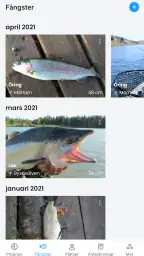 Fiskeprognos med väder screenshot
