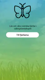 Fjärilar screenshot