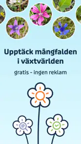 Flora Incognita screenshot