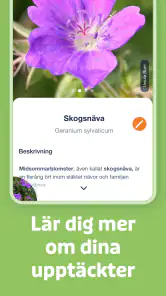 Flora Incognita screenshot