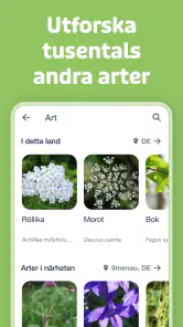 Flora Incognita screenshot
