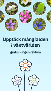 Flora Incognita screenshot