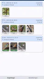 Flyttfåglar - Muuttolinnut screenshot