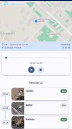 Flyttfåglar - Muuttolinnut screenshot