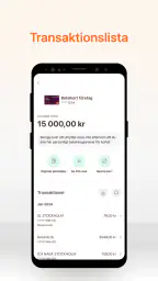 Företagskort screenshot