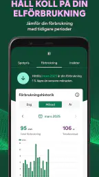 Fortum screenshot