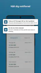 Frilans Finans screenshot