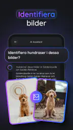 Gemmy AI: Chatt & Assistent screenshot