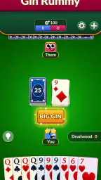 Gin Rummy: Klassiskt Kortspel screenshot
