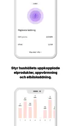 GodEl – koll på din el screenshot
