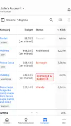 Google Ads screenshot