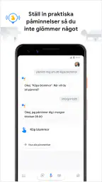Google Assistent screenshot