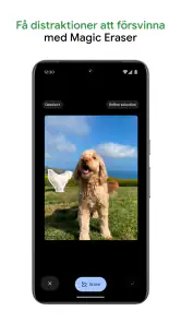 Google Foto screenshot