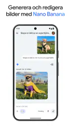Google Gemini screenshot