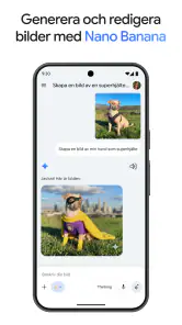 Google Gemini screenshot