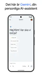 Google Gemini screenshot