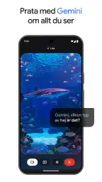 Google Gemini screenshot