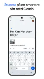 Google Gemini screenshot