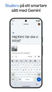 Google Gemini screenshot