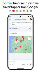 Google Gemini screenshot